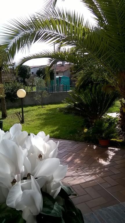 B&B La Cascina Concordia Sagittaria Bagian luar foto
